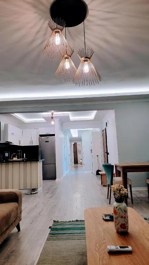Fully Renovated Modern Apartment Istanbul