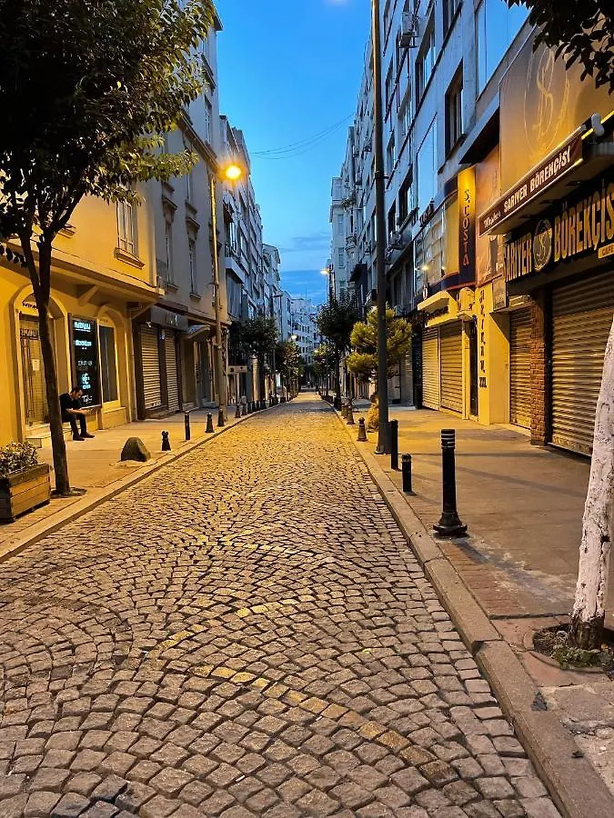 Fully Renovated Modern Apartment Istanbul Turkey